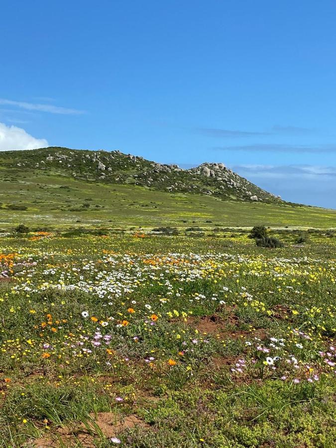 Studio On Fairway Langebaan Exterior foto