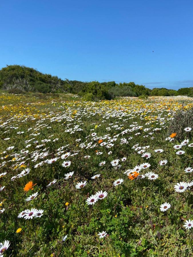 Studio On Fairway Langebaan Exterior foto